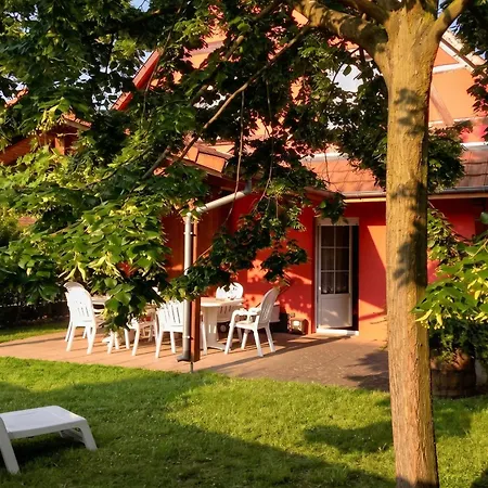 Maison Charmante A Avec Jardin Et Terrasse * Stotzheim